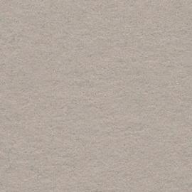 Background Calumet 2,72x11m 30 Silver Birch