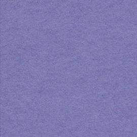 Background CI/Calumet 2,75x11m 29 Crocus