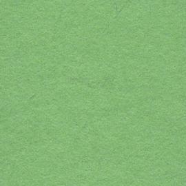 Background CI/Calumet 2,75x11m 63 Summer Green