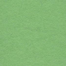 Background CI/Calumet 2,75x11m 63 Summer Green