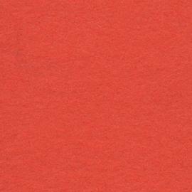 Background  CI/Calumet 2,75x11m 39 Mandarin