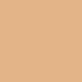 Background Savage 2,72x11m 79 Almond