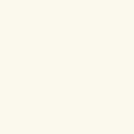 Background Savage 2,72x11m 50 White