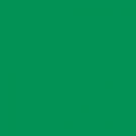 Background Savage  2,72x11m 35 Holly