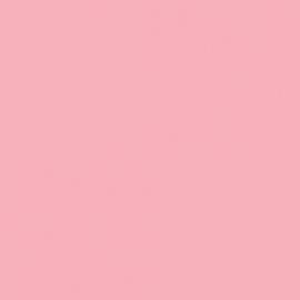 Background Savage 2,72x11m 03 Coral