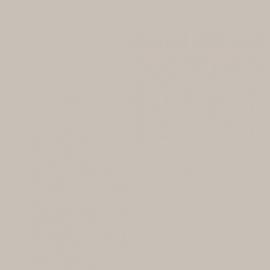 Background Savage 2,72x11m 12 Studio Gray