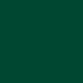 Background Savage 2,72x11m 18 Evergreen