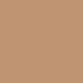 Background Savage 2,72x11m 76 Mocha