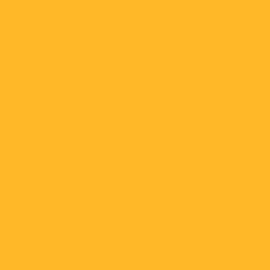 Background Savage 2,72x11m 71 Deep Yellow