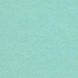 Background CI/Calumet 2,75x11m 55 Larkspur
