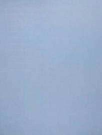 Schmidli BG 790 Cold Blue 12x20 Soft Medium Texture