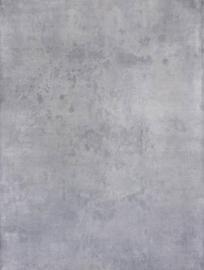 Schmidli BG 1083 Light Neutral Grey. 12x20 / Schmidli Backdrop