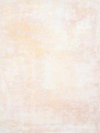 Schmidli BG 1019 Light Orange Med. Text. 12x20 Front/Back