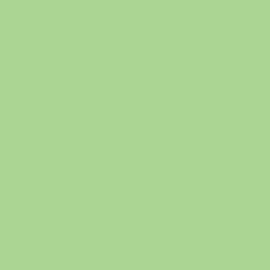 Background Savage 2,72x11m 40 Mint Green