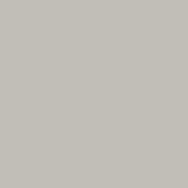 Background Savage 2,72x11m 12 Studio Gray
