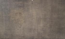 Schmidli BG 0844 Neutral Grey Strong Text. 12x20
