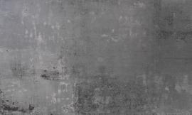 Schmidli BG 0950  Neutral Grey Med. Text. 12x20