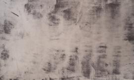 Schmidli BG 0950  Neutral Grey Med. Text. 12x20