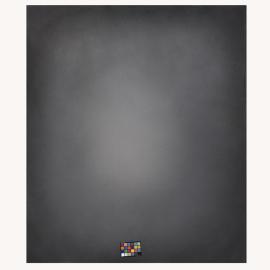 Schmidli foldable BG 0129 10'Hx12'W (3x3,6m)