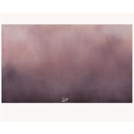 Schmidli foldable BG  2404 12'H x 20'W (3,6x6m)