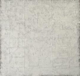 Schmidli foldable BG 1963 10'x12' (3x3,6m)