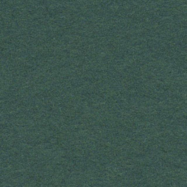 Background CI/Calumet 2,75x11m 12 Spruce Green