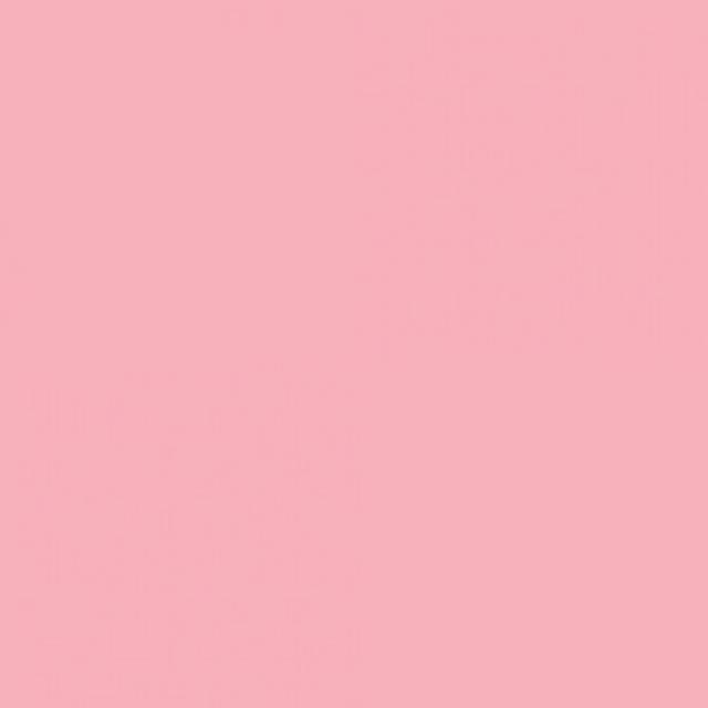 Background Savage 2,72x11m 03 Coral