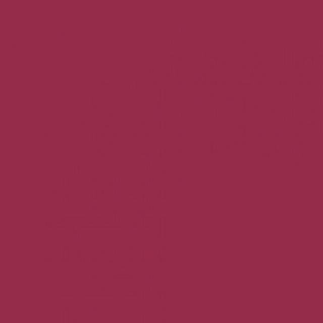 Background Savage 2,75x11m 06 Crimson