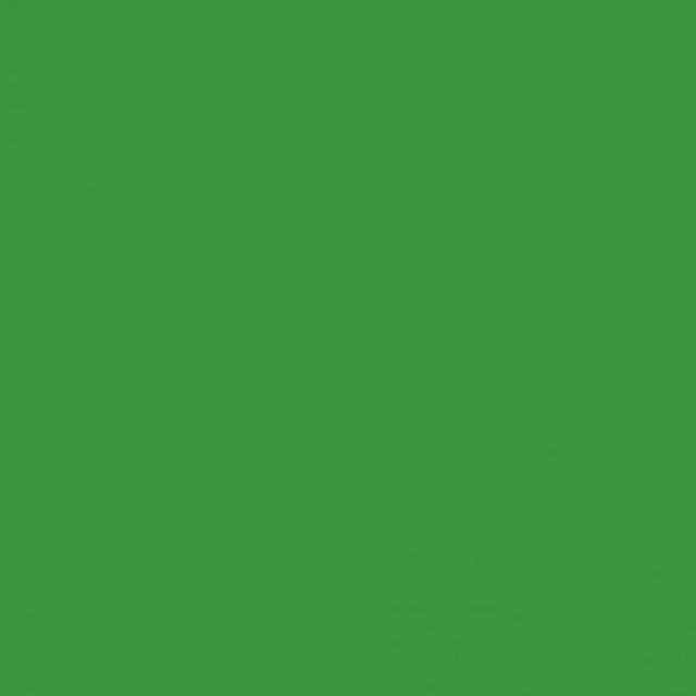 Background Savage 2,72x11m 46 Tech Green