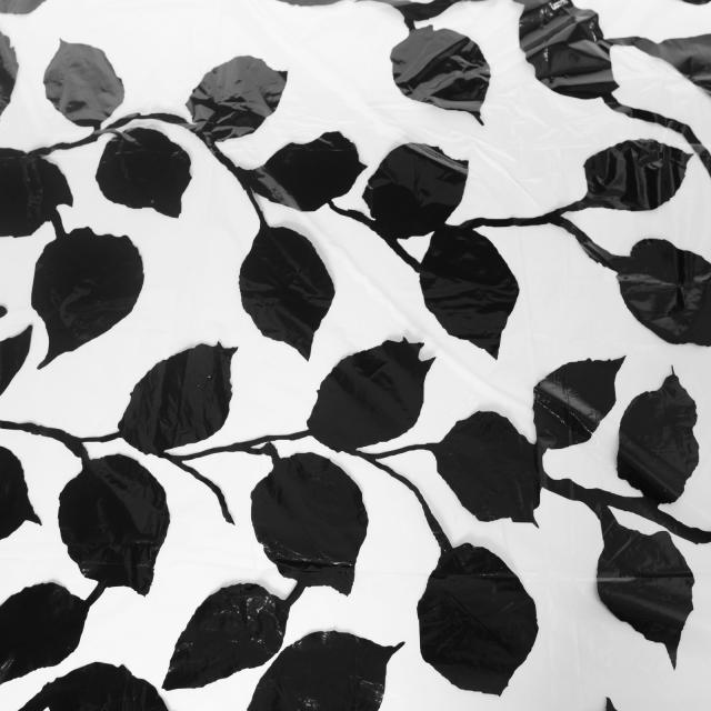 Sun Swatter 6x8 LeLouche incl. Leaves