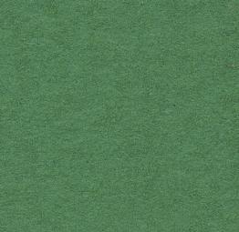 Background CI/Calumet 2,75x11m 31 Apple Green