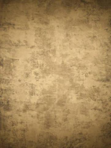 Schmidli BG 1142 Beige Metallic Med.Text. 12x20