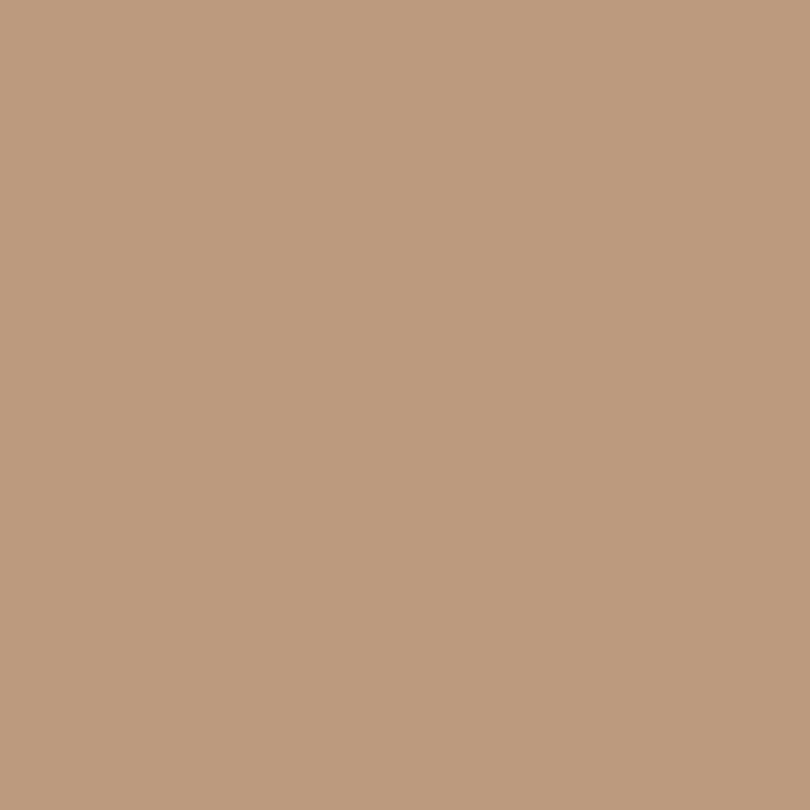 Background Colorama 2,72x11m 11 Coffee