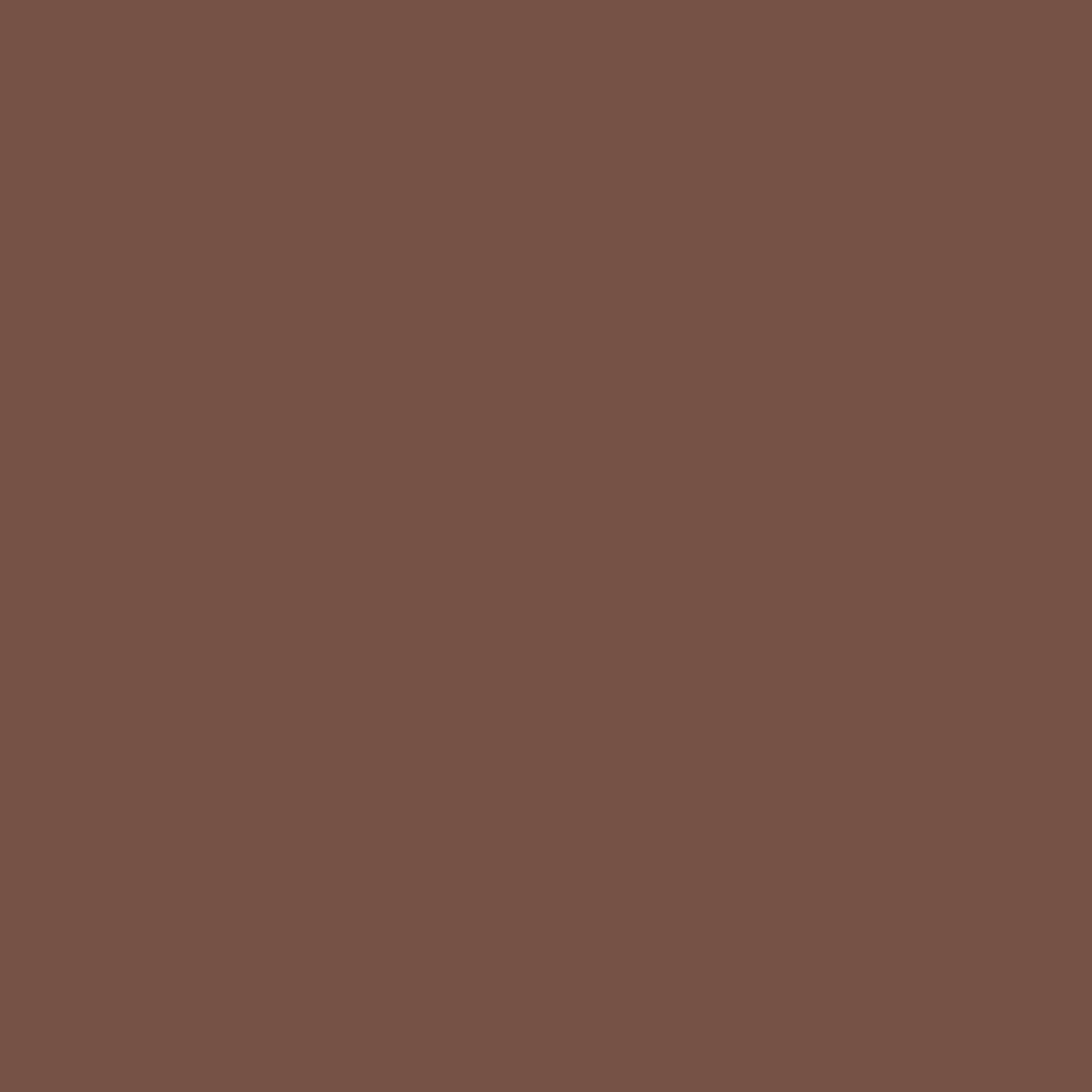 Background Colorama 2,72x11m 80 Peat Brown