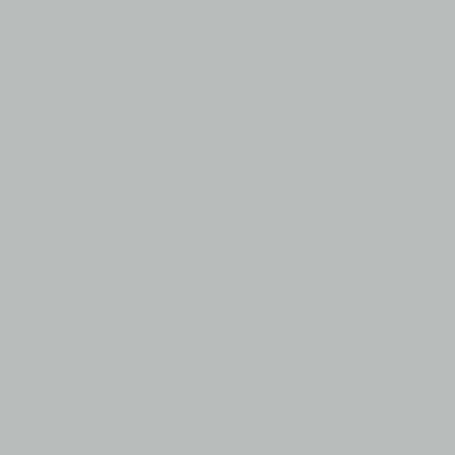 Background Colorama 2,72x11m 102 Mist Grey