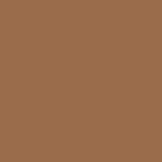 Background Savage 2,72x11m 80 Cocoa