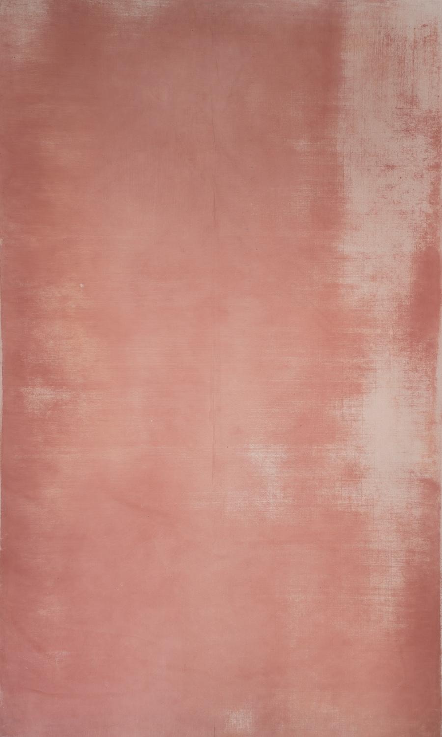 Schmidli BG 1021 Warm Red 12x20