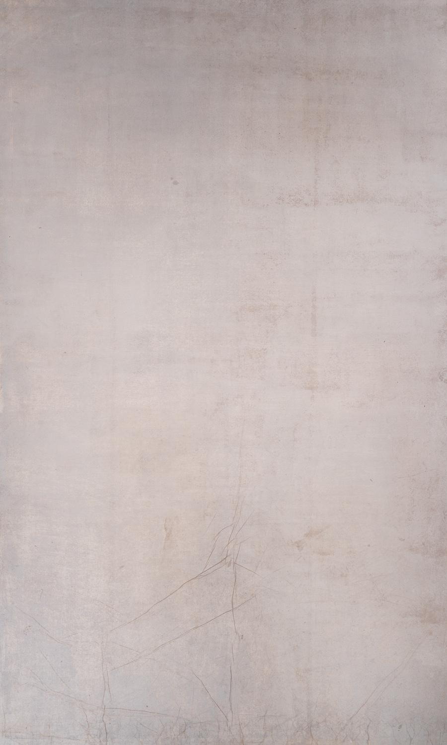 Schmidli BG 1062 Light Grey  Med.Text. 12x20