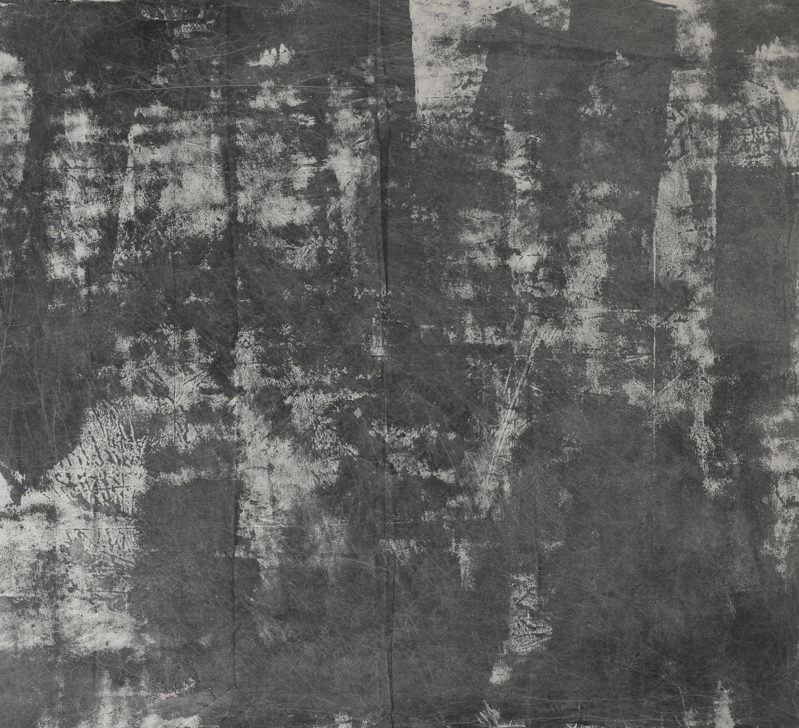 Schmidli foldable BG 0899 12'Hx10'W (3,6x3m)